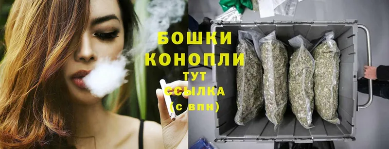 Каннабис OG Kush  Вуктыл 